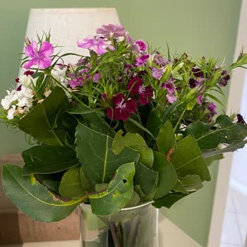 Çiçek Sepeti'nin Görseldekinden Alakasız Ürün Göndermesi!