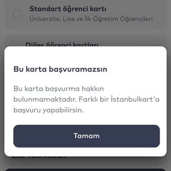 Milli Eğitim Bakanlığı (MEB) Mezuniyet Kaydı Ve Öğrenci Akbili Vizesi Sorunu
