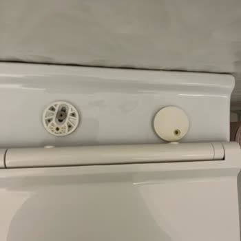 Vitra Klozet Kapağı Vidası