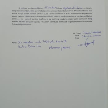 Amerikan Kültür Yabancı Dil Kursları Amerikan Kültür Pişmanlığı