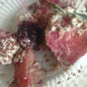 Liva Pastanesi (livashop.com) Bozuk Ve Beklemiş Pasta