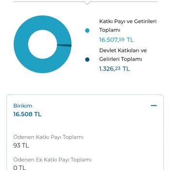 Anadolu Hayat Emeklilik Yatırdığım Para Neden İşlem Görmüyor