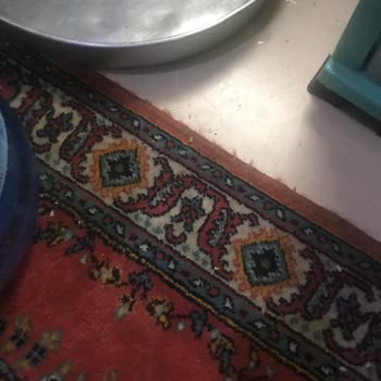 Lakayıt Ve Dikkatsiz Saka Su