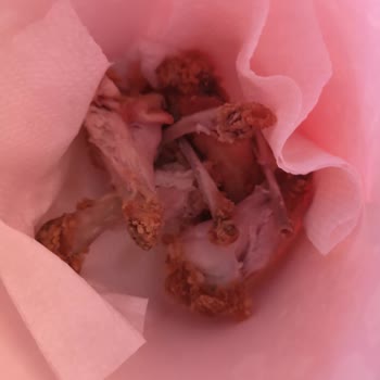 Popeyes Kova İçeriğindeki Kokmuş Kanat