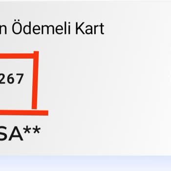 Passolig Kart Numarası Öğrenme