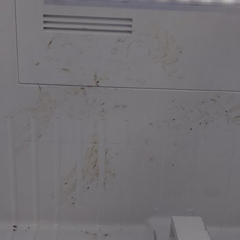 Vestel Buzdolabı İçine Ayakkabı İle Girmişler