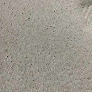 Bambi Yatak Yatak Kalite Problemleri Ve Müşteri Hizmetleri Şikayeti