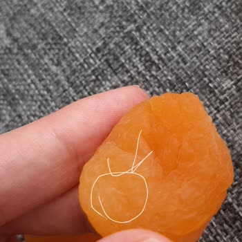 Amigo Kuru Kayısıdan Kıl Çıktı