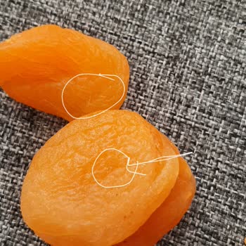 Amigo Kuru Kayısıdan Kıl Çıktı