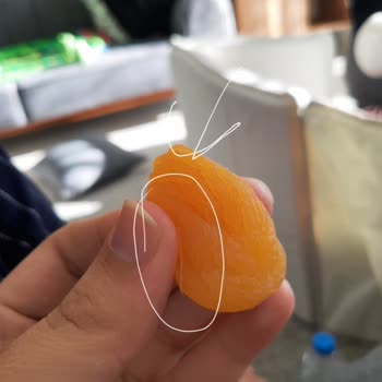 Amigo Kuru Kayısıdan Kıl Çıktı