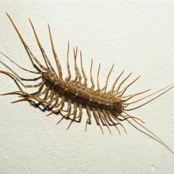 Uygar Hotel Bad Hotel Of Fethiye Kötü Durumda