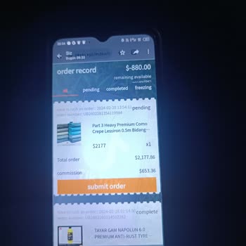 TikTok Malezyalı İş Kadını Olduklarını İddia Etti