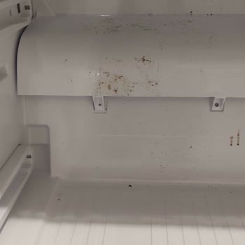 Vestel Buzdolabı Servis Hizmeti İşte Bu