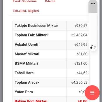Gelecek Varlık Yönetim Borç 980 Silinmesi