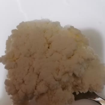 Torku Lor Peynir Çamurlaşması