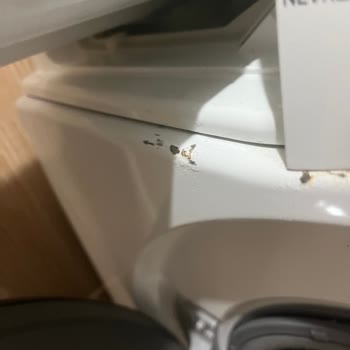 Samsung Çamaşır Makinesi Garanti Sorunu