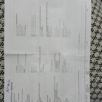 Reeder S 19 Max Da Galeri Yok