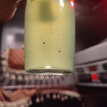 Schweppes İçeceğinin İçinde Bulunan Parçacıklar