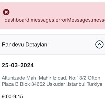 VFS Global Randevuyu Yeniden Planla Butonunda Hata Bildirimi Alıyorum