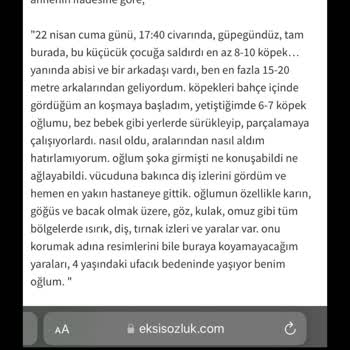 Cso Ada Ankara CSO Adada Başıboş Köpek Saldırısı