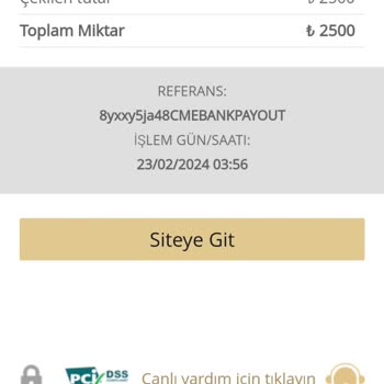 CasinoMetropol Ödeme Gecikmesi Sorunu