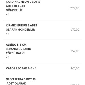 Alsancak Petshop İlk Ve Son Alışverişim