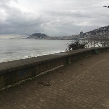 Aile ve Sosyal Hizmetler Bakanlığı Para Yatmama Sorunu