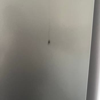 Arçelik Buzdolabında Siyah Leke