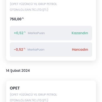Chippin Yakıt Puan Krizi