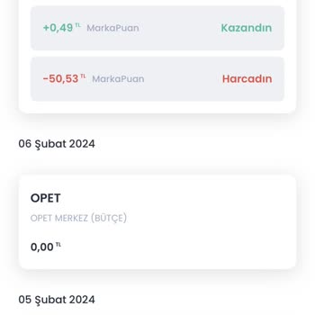 Chippin Yakıt Puan Krizi