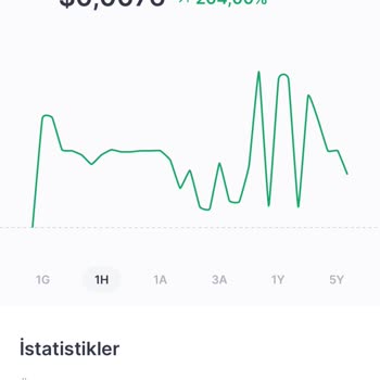 Midas'tan Aldığım Hisseler Sıfır Adet Olarak Gözüküyor
