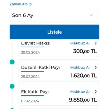 Anadolu Hayat Emeklilik Devlet Katkısı Eksik Yatıyor