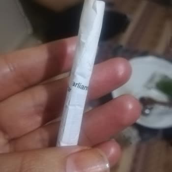 Philip Morris Philipp Moris P