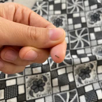 Hakmar Ekmek Ürününde Şaşırtan Misafir!