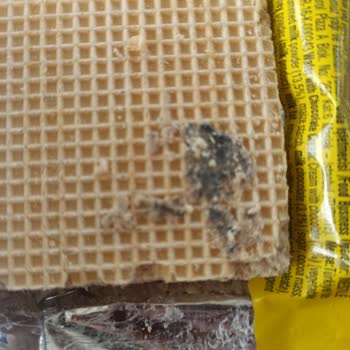 Nestle Çocuğun Gofretinden Çıkan Cisim