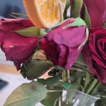 Osevio.com Diye Bir Çiçek Firması Ama Satana Kadar!