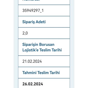 Borusan Lojistik Kargo Teslimat Sorunu