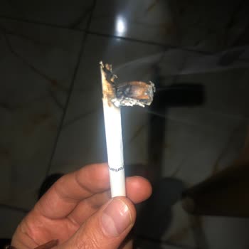 Philip Morris Sigara Değil Kütük