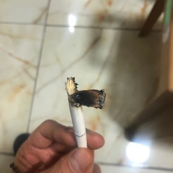 Philip Morris Sigara Değil Kütük