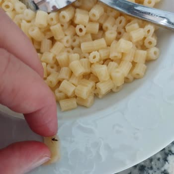 Filiz Makarna İnsan Sağlığının Hiç Önemi Kalmadı.