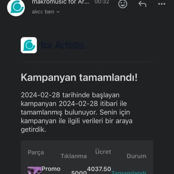 Makromusic Müşteri Deneyimi: Beklentiler Ve Gerçekler