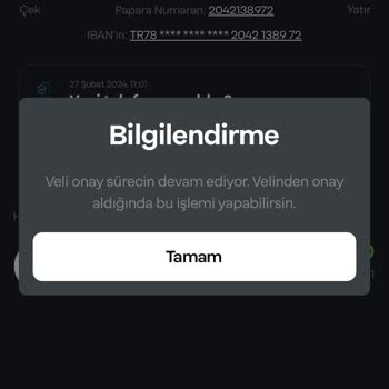 Papara Veli Onayı Olmuyor