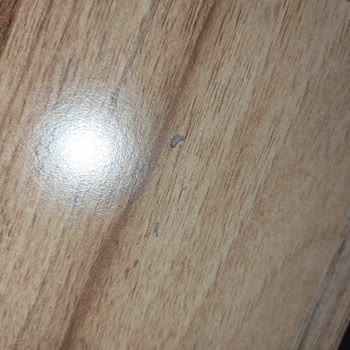 Evyaşam Ayıplı Ürün Gönderimi Yapıldı