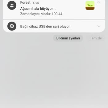 Samsung Cihaz Hatası Veriyor