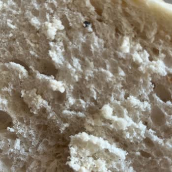 BİM'den Aldığım Ekmekten Pislik Çıktı