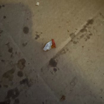 Papa John's Pizza'dan Yabancı Madde Çıktı