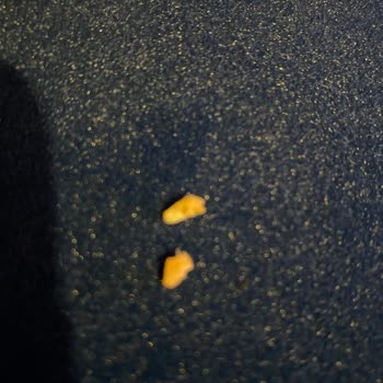 Hakmar'dan Aldığım Kıymadan Kıkırdak ve Kemik Parçaları Çıkıyor