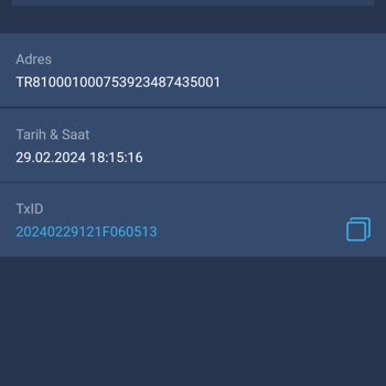 Bitexen Param Hesabıma Geçmedi
