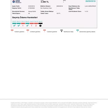 Findeks Risk Raporu Kredi Puanı