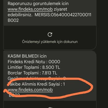 Findeks Risk Raporu Kredi Puanı